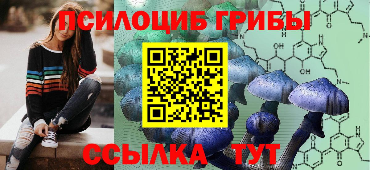 Спасск-Дальний  купить  сайты  Вход с VPN  Псилоцибиновые грибы Psilocybe 